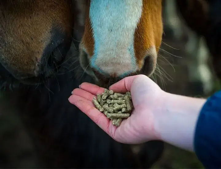 Cavalor Probreed Pellet