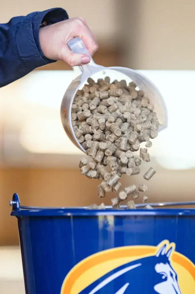 Cavalor Action Pellet