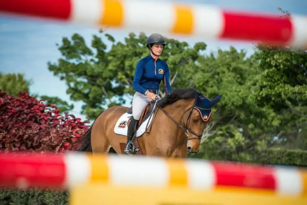 Arti Repair Cavalor Paarden Supplementen