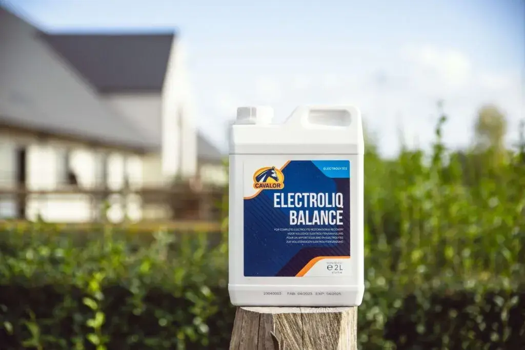 Electroliq Balance Cavalor Paarden Suppl