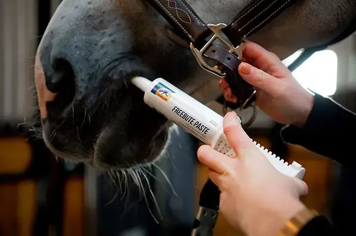 Cavalor Supplementen FreeBute Paste