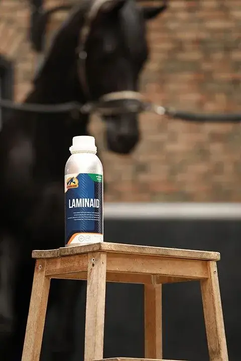 Cavalor Supplementen LaminAid