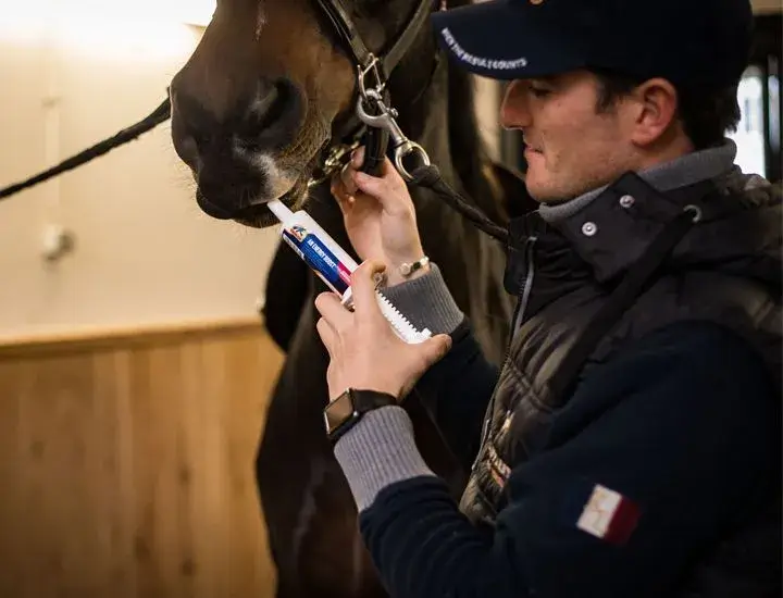 Cavalor Supplementen An Energy Boost