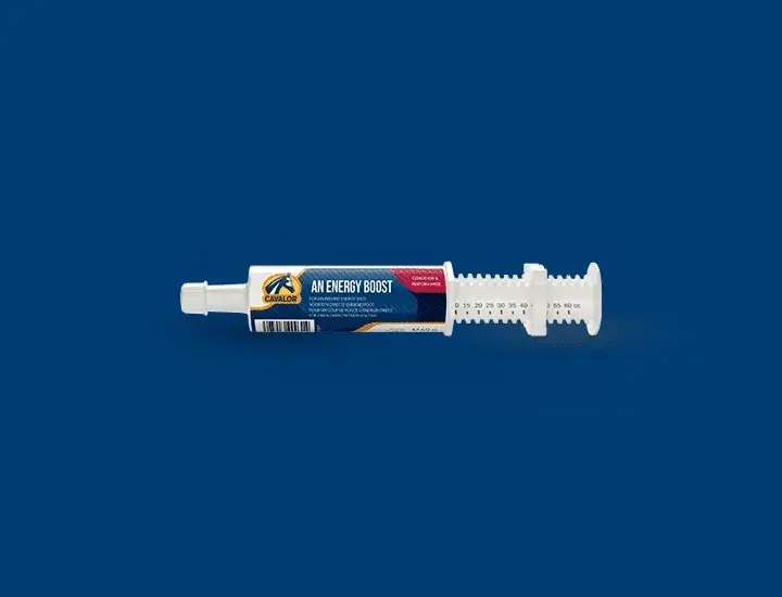 Cavalor Supplementen An Energy Boost