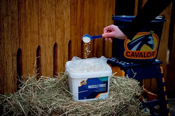 Cavalor Supplementen Muscle Force