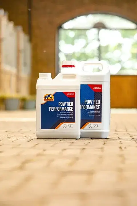 Cavalor Supplementen Pow'red Performance
