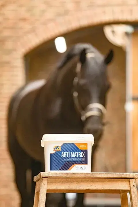 Cavalor Supplementen Arti Matrix