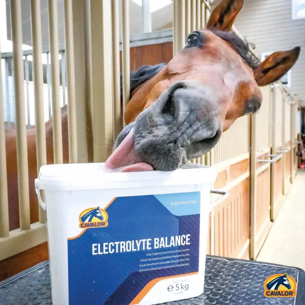 Cavalor Supplementen Electrolyte Balance