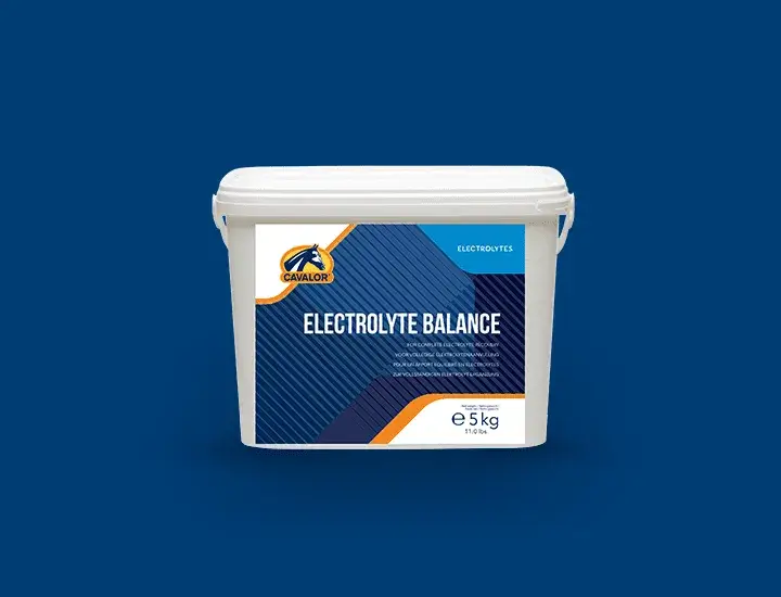 Cavalor Supplementen Electrolyte Balance
