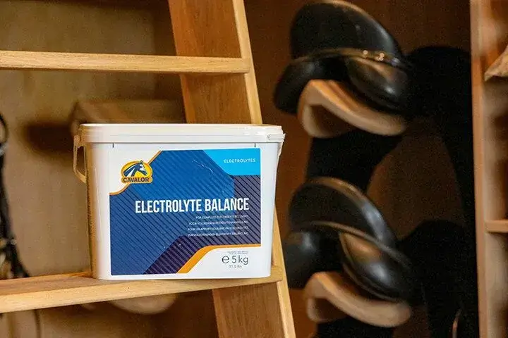 Cavalor Supplementen Electrolyte Balance