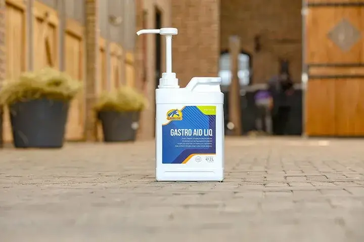 Cavalor Supplementen Gastro Aid Liq