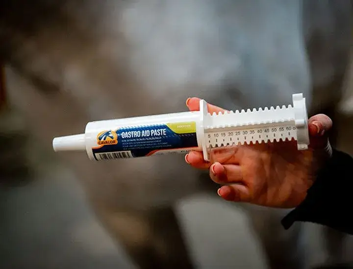 Cavalor Supplementen Gastro Aid Paste