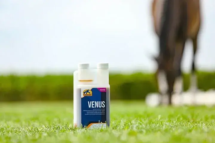 Cavalor Supplementen Venus
