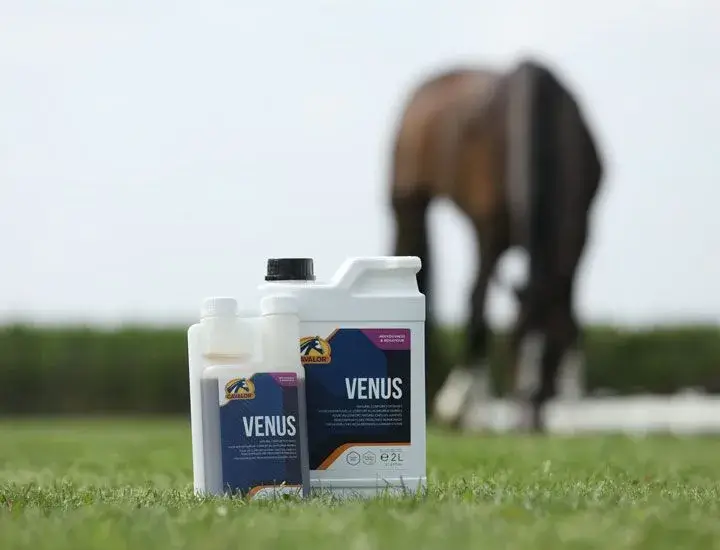Cavalor Supplementen Venus
